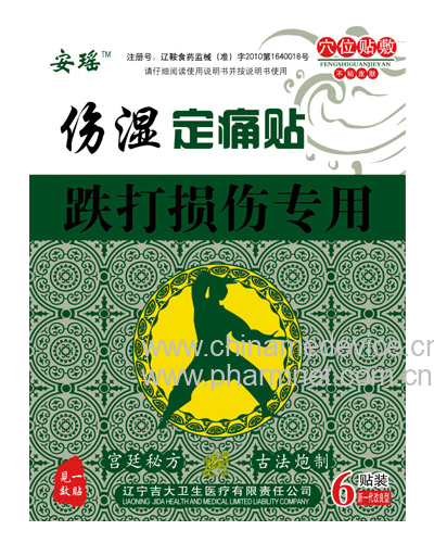 伤湿定痛贴
