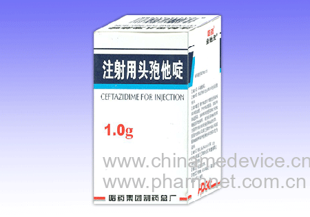 ע����ͷ�����