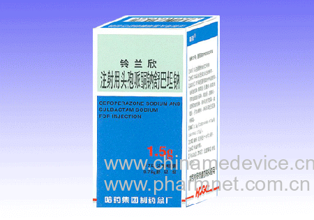 ע����ͷ����ͪ�����̹��