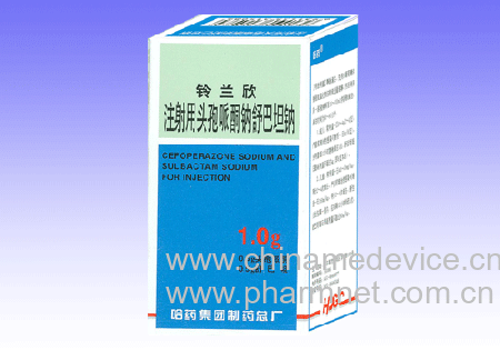 ע����ͷ����ͪ�����̹��