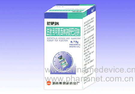 ע���ð�Ī���������̹��