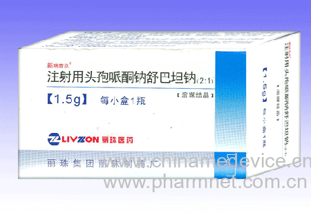 ע����ͷ����ͪ�����̹��