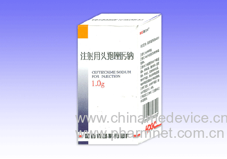 ע����ͷ�������