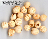 ���鱴