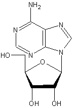 腺嘌呤核苷