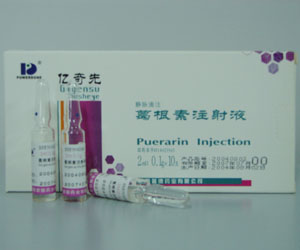 葛根素注射液_葛根素注射液招商_葛根素注射液价格_素