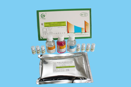 胃蛋白酶原Ⅰ（PGⅠ）定量检测试剂盒